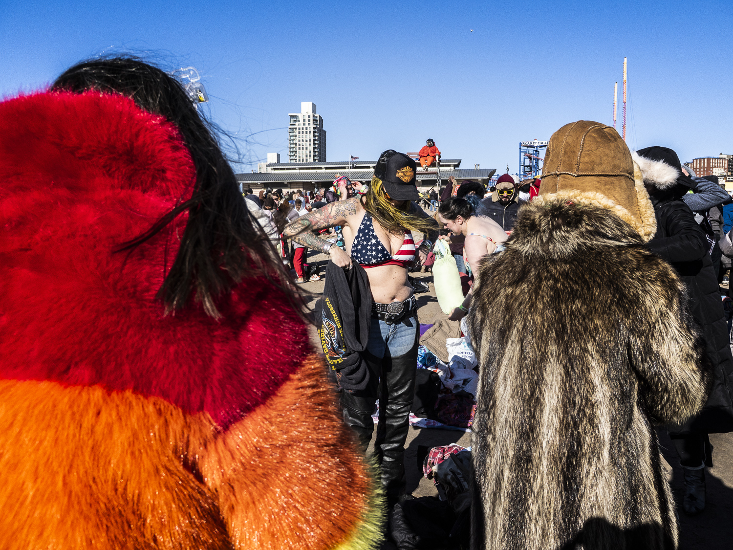 Polar Bear, Coney Island 21
