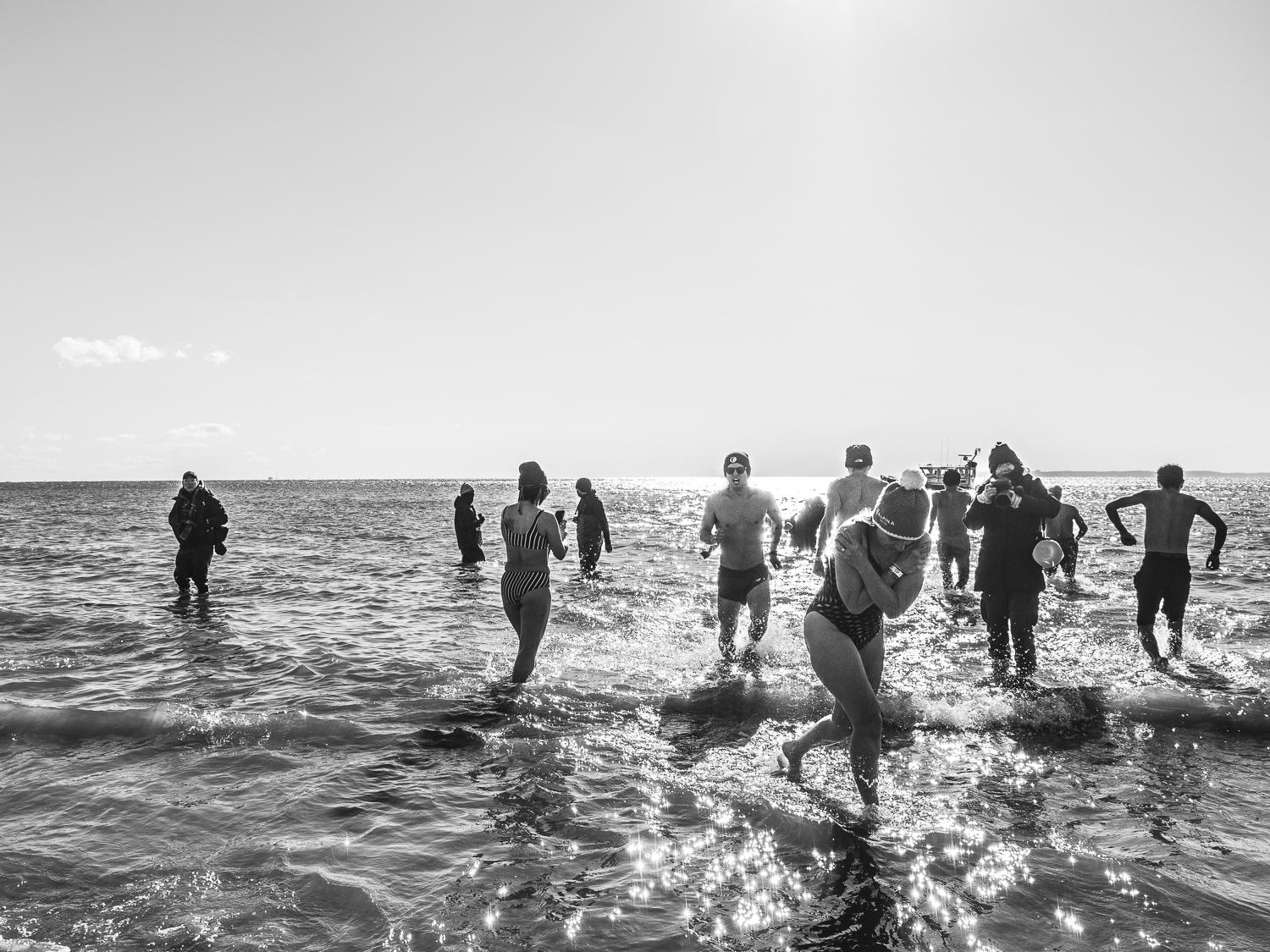 Polar Bear, Coney Island 28