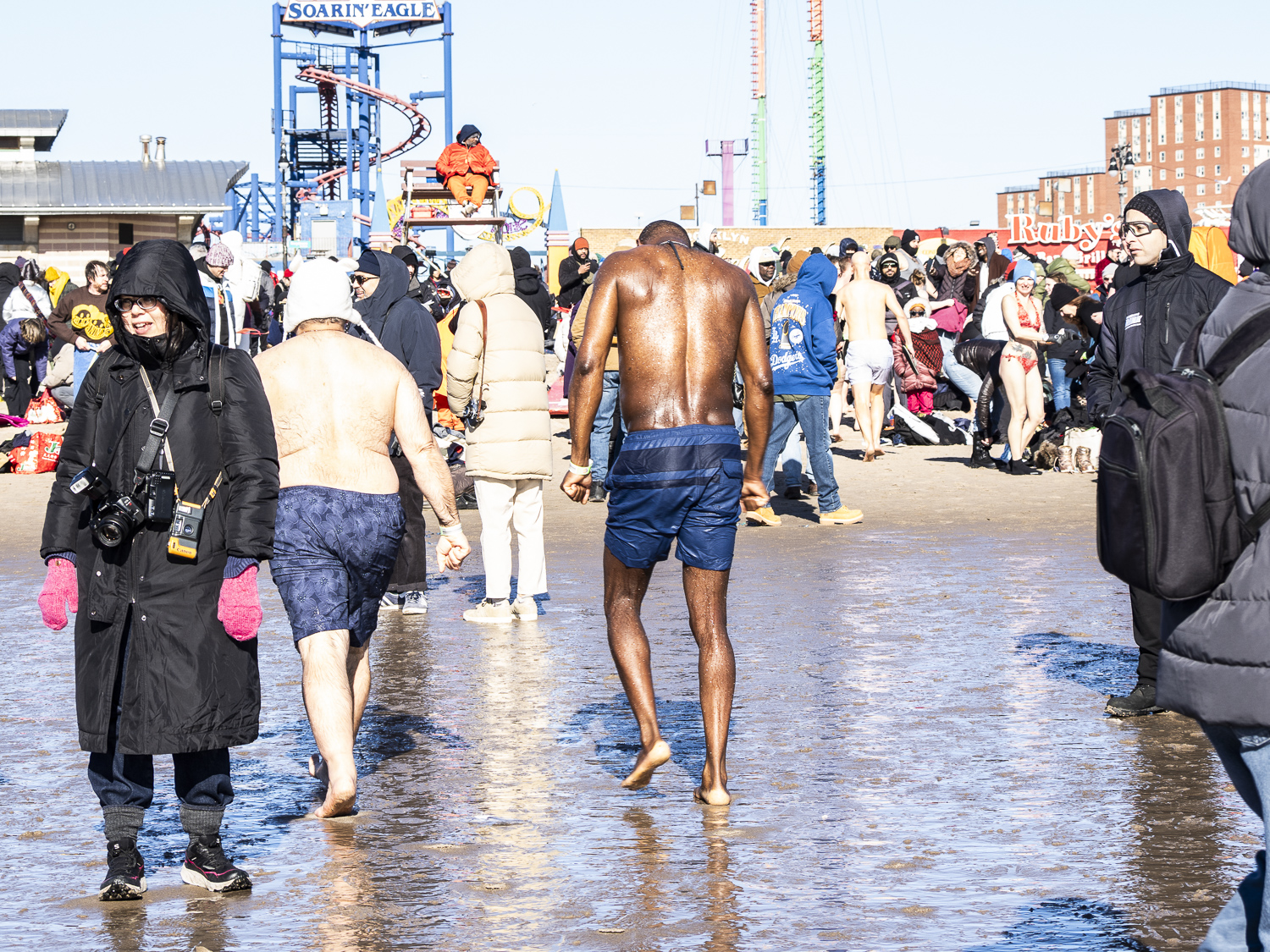 Polar Bear, Coney Island 26